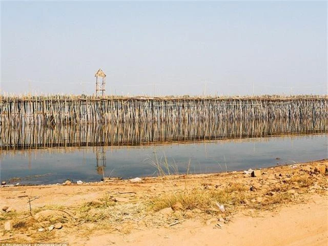 Cây cầu được làm mới hàng năm khi mùa nước lũ qua đi, mùa khô về