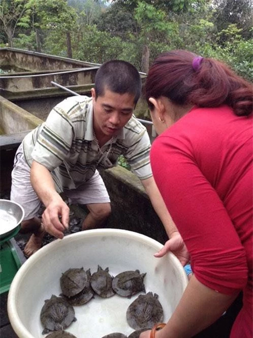 Kiểm tra ba ba gai