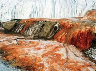 “Thác máu” như trong phim kinh dị ở Nam Cực