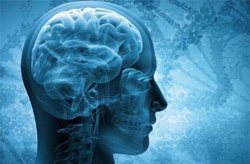 Đã tìm ra cách đối phó với bệnh chết não không thể chế ngự