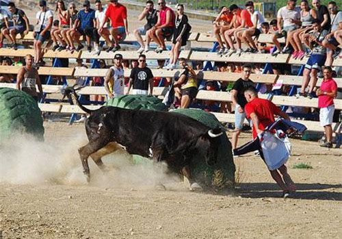 Nam thanh niên tử vong vì mất máu khi tham gia lễ hội bò tót