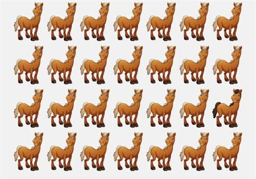 Câu đố tìm con ngựa khác biệt nhất tưởng dễ mà ít người làm được