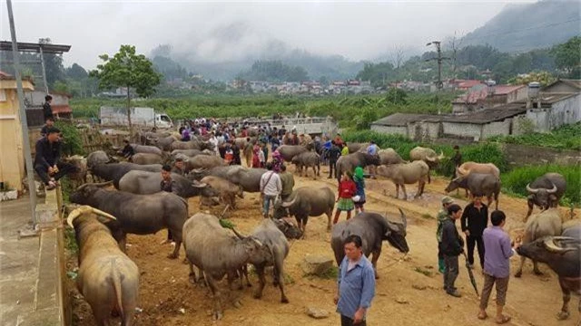 Những phiên chợ chỉ bán một món hàng duy nhất ở vùng cao Tây Bắc - 2