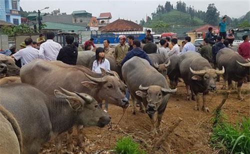 Những phiên chợ chỉ bán một món hàng duy nhất ở vùng cao Tây Bắc