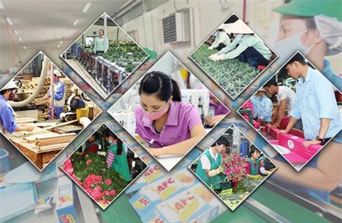 Số doanh nghiệp tạm ngừng kinh doanh trong 7 tháng năm nay tăng mạnh