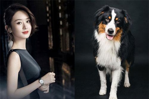 Bất chấp tháng 7 cô hồn, 3 con giáp vẫn tài lộc đầy tay, tiền tiêu cả mớ, lộc lá đua nhau gõ cửa