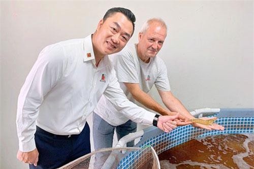 Chuyển giao công nghệ nuôi tôm sạch