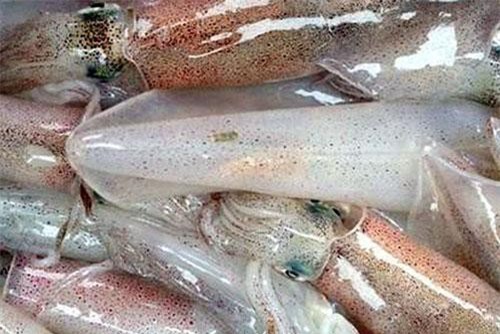 Tây Ban Nha tăng nhập khẩu mực, bạch tuộc từ Việt Nam