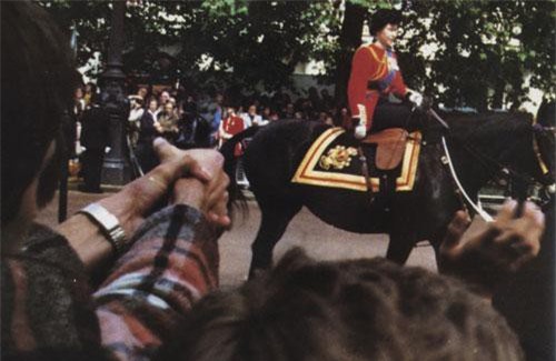 Hồ sơ Interpol: Lật lại vụ thiếu niên ám sát hụt Nữ hoàng Anh