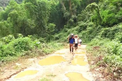 Đã tiếp cận được các bản bị cô lập do mưa lũ ở Thanh Hóa