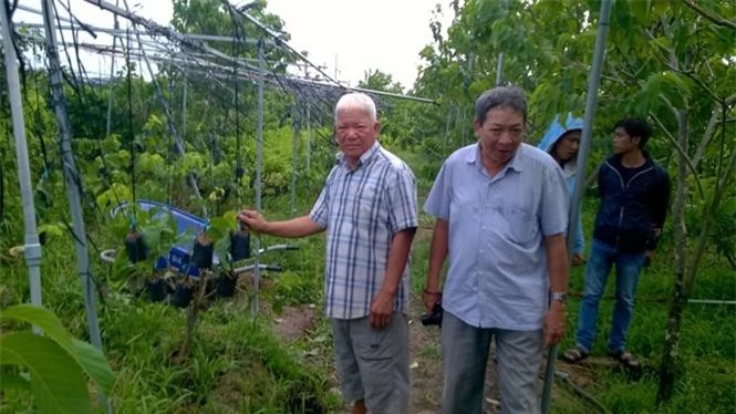 Ông Nguyễn Văn Năm (trái) giới thiệu những cây na Thái đang ghép.