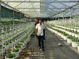 Đà Nẵng có nhiều chính sách đột phá hỗ trợ hợp tác xã phát triển