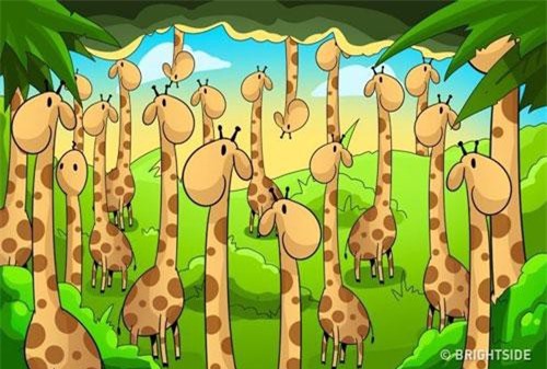 Câu đố thử thách độ tinh mắt của bạn