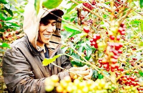 Xuất khẩu nông sản sụt giảm