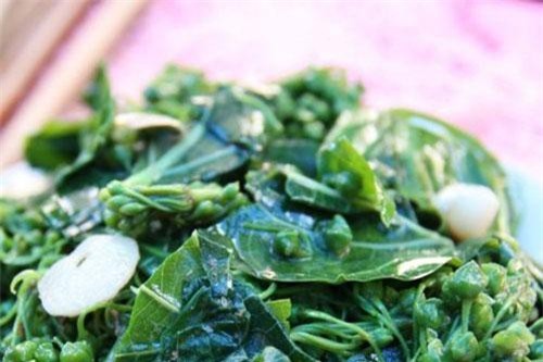 Khám phá đặc sản lá ngón xào tỏi đặc sản của người dân Tây Bắc