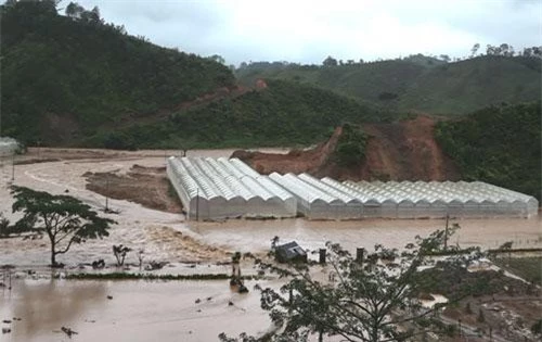 Mưa lớn kéo dài kèm theo lũ quét bất ngờ xảy ra trên địa bàn tỉnh Lâm Đồng