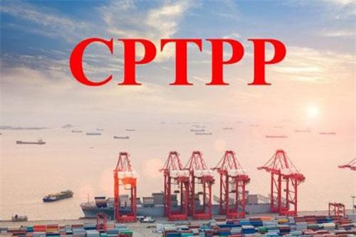 Giải pháp tự vệ cho dệt may trong CPTPP