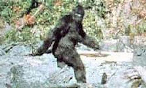 Loạt quái thú khổng lồ khiến con người điên cuồng săn đuổi