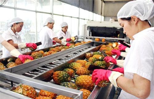 Xuất khẩu nông sản đạt trên 23 tỷ USD