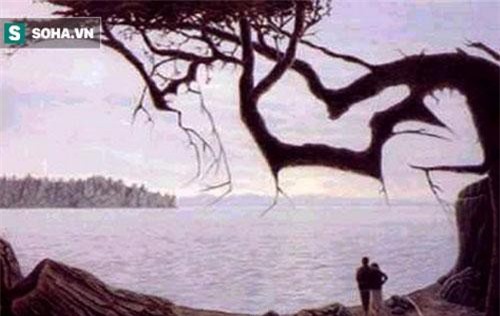 Chỉ 2% số người giải mã được những bức ảnh này trong 30 giây, còn bạn?