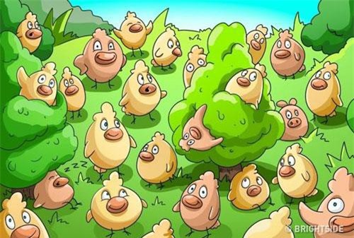Thử thách độ tinh mắt của bạn với câu đố đơn giản