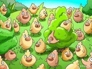 Thử thách độ tinh mắt của bạn với câu đố đơn giản