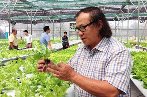 Ký kết EVFTA và CPTPP: ‘Cửa mở nhưng nông sản Việt qua được hay không mới là câu chuyện’