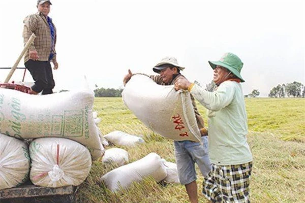 Ảnh minh họa. (Nguồn: Báo Chính phủ)