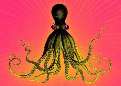 Lý do bạch tuộc được công nhận là sinh vật quái dị nhất hành tinh