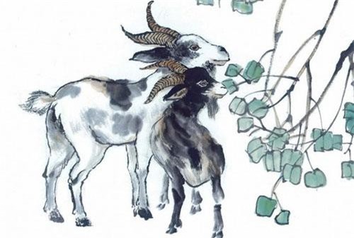 3 con giáp giàu có hơn người, thành công xuất sắc công danh lên như điều gặp gió trong năm 2020