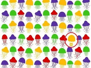 Câu đố đơn giản nhưng rất ít người có thể tìm ra đáp án trong 5 giây