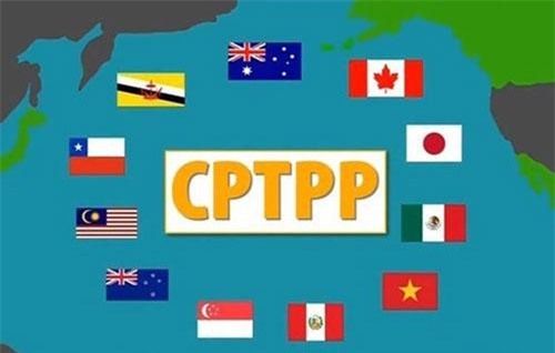 Chậm trễ nắm bắt cơ hội từ CPTPP