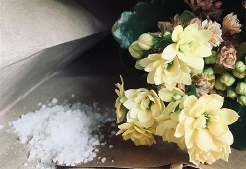 Muối ăn có quá nhiều công dụng đặc biệt mà bạn có thể chưa biết