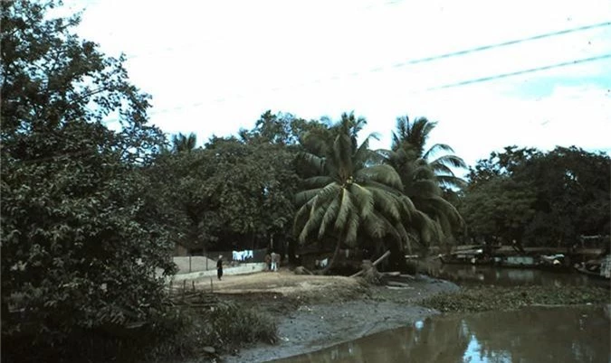 Anh cuc hiem ve Vinh Long nam 1967-1968 cua cuu binh My-Hinh-17