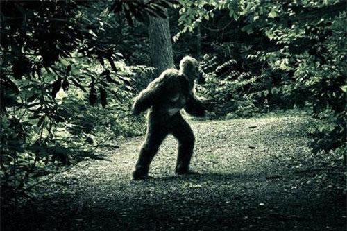 Những quái vật khổng lồ đáng sợ nhất Trái Đất mà con người luôn tin là có thật