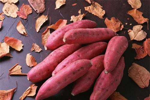 Trong thực phẩm giảm cân của các sao Hàn không thể thiếu loại củ này