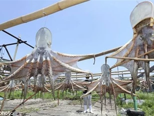 Ngỡ ngàng cảnh như sinh vật ngoài hành tinh xâm chiếm Trái đất