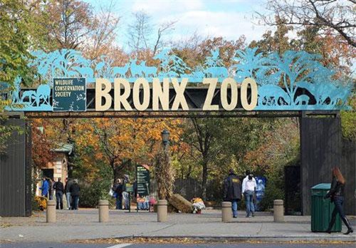 Vườn thú để rắn độc xổng chuồng 'tẩu thoát'