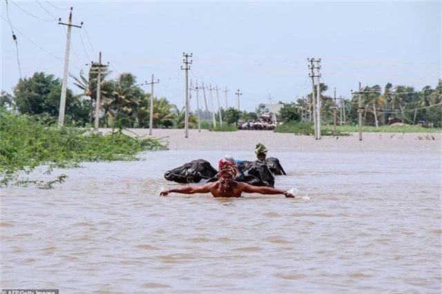 Lũ kinh hoàng khiến 152 người thiệt mạng ở Ấn Độ - 11