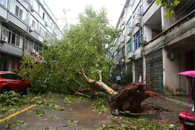 Siêu bão Lekima đổ bộ Trung Quốc: 32 người chết, 16 người mất tích - 11