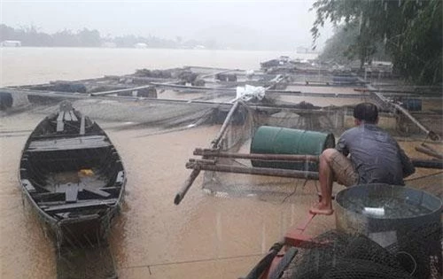Lũ lụt do sự cố và xả lũ thủy điện gây thiệt hại nặng nề cho người dân tỉnh Đồng Nai