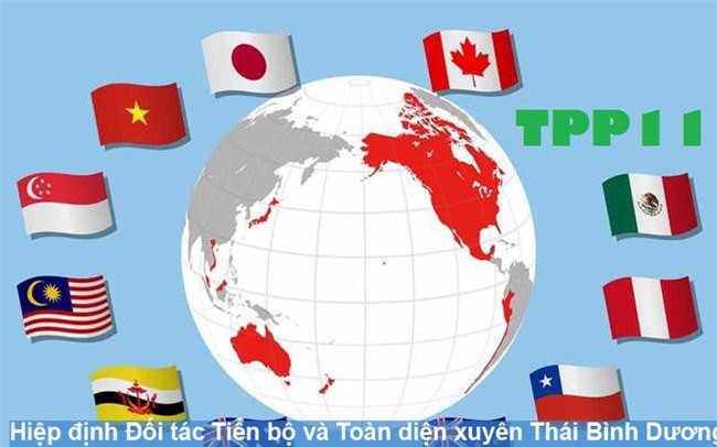 CPTPP: Hướng dẫn khai và kiểm tra thông tin trên chứng từ chứng nhận xuất xứ