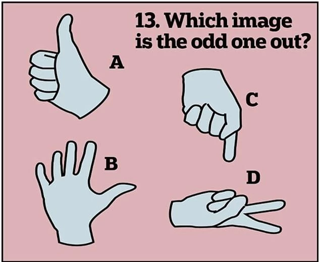 13. Hình bàn tay nào khác với 3 hình còn lại?