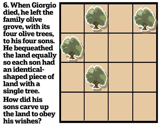 6. Trước khi ông Giorgio qua đời có để lại cho 4 con trai 4 cây ô liu đã được ông trồng vào những vị trí để chia mảnh đất hình vuông thành 4 khoảnh đất bằng nhau. Bạn hãy chia giúp ông thành 4 khoảnh đất bằng nhau trong đó có 1 cây ô liu cho 4 con trai ông.