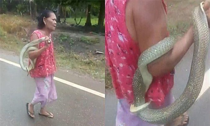 Rợn người cụ bà chơi đùa với rắn độc theo cách bất chấp nhất