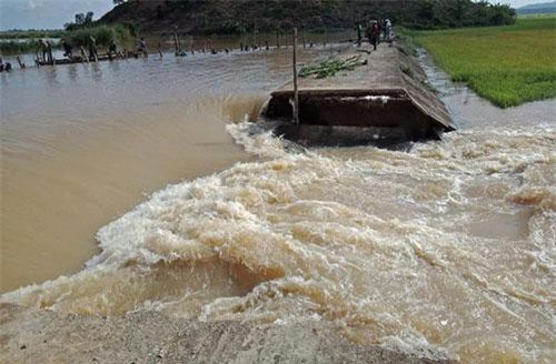 Đắk Lắk: Vỡ đê, 1.000 ha lúa chìm trong biển nước