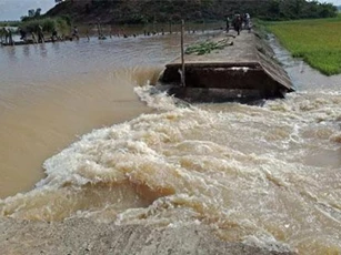 Đắk Lắk: Vỡ đê, 1.000 ha lúa chìm trong biển nước