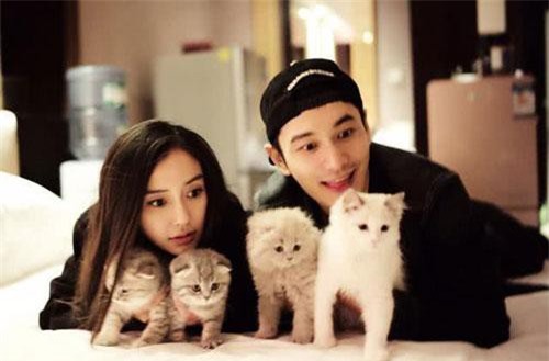 Phải chăng vì 1 câu nói "cùn đời" của Huỳnh Hiểu Minh mà cuộc hôn nhân với Angela Baby rạn nứt?