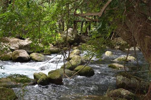 Cuộc hôn nhân trị giá 10 tỷ của con trai đại gia bất động sản