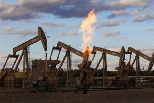 Giá xăng, dầu (13/8): Tăng nhẹ